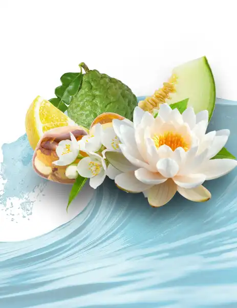 The Ritz Carlton Type Clean Fragrance - Clean Fragrances